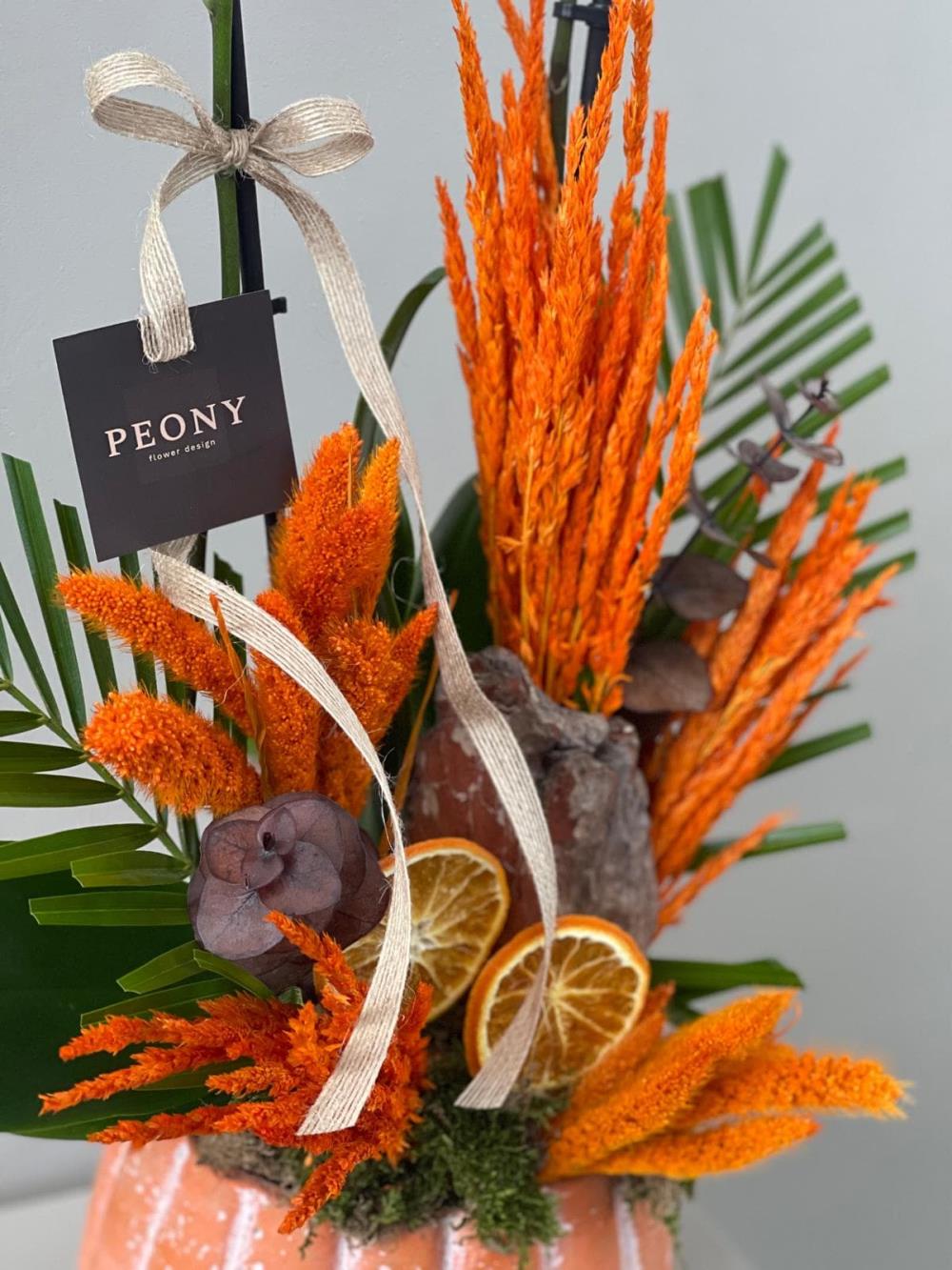 Kabak Saksıda Turuncu Orkide